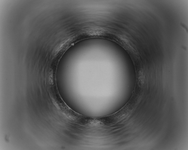 X0000103460547200809121606