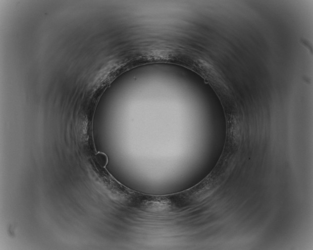 X0000103460548200809121606