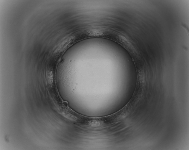X0000103460549200809121606