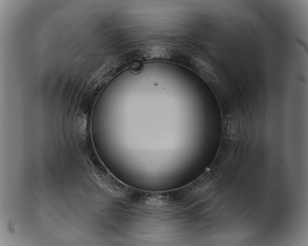 X0000103460550200809121606
