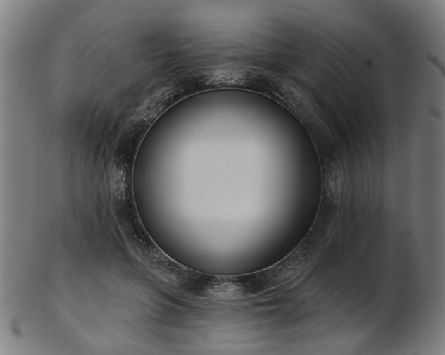 X0000103460551200809121606