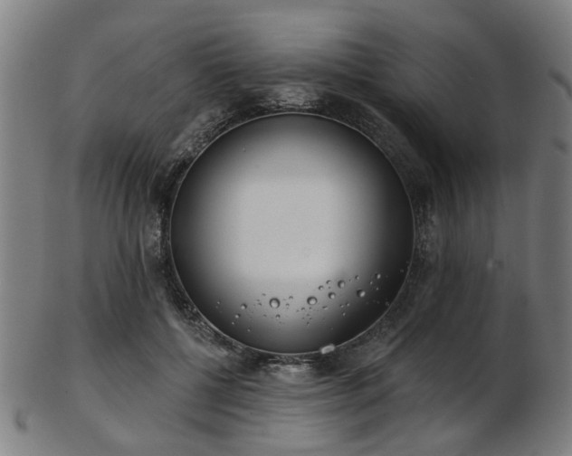 X0000103460552200809121606