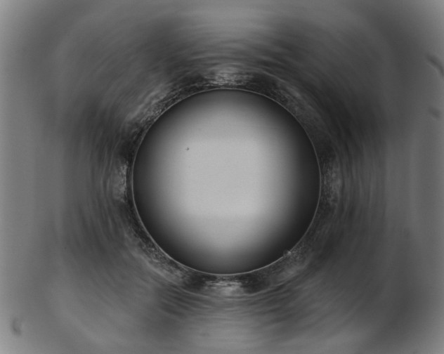 X0000103460554200809121606