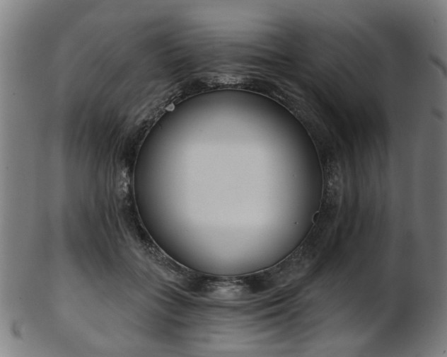 X0000103460555200809121606