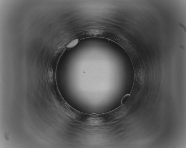 X0000103460556200809121606