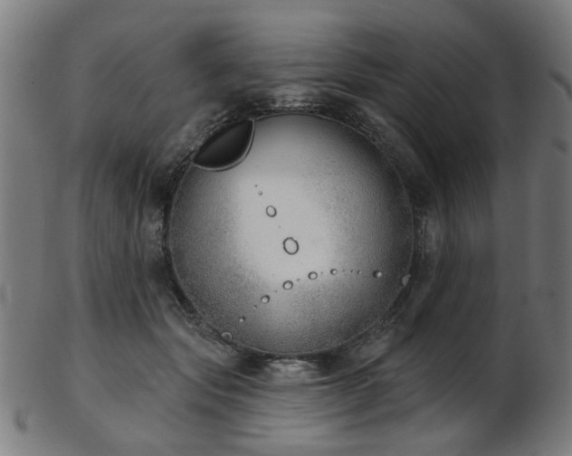 X0000103460557200809121606