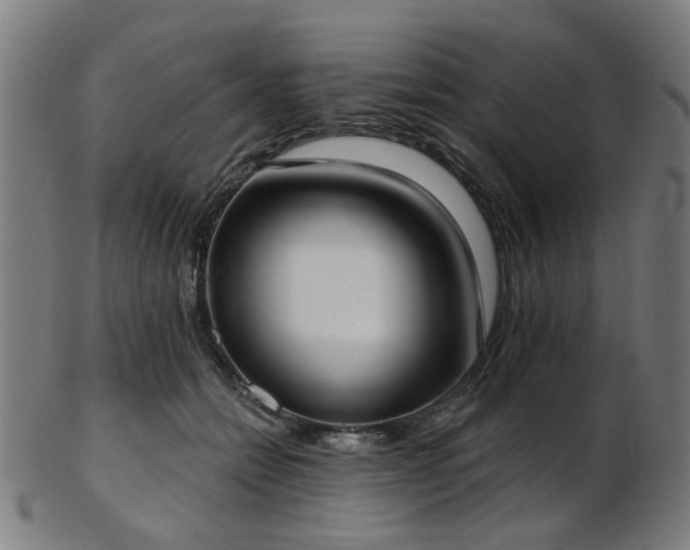 X0000103460558200809121606