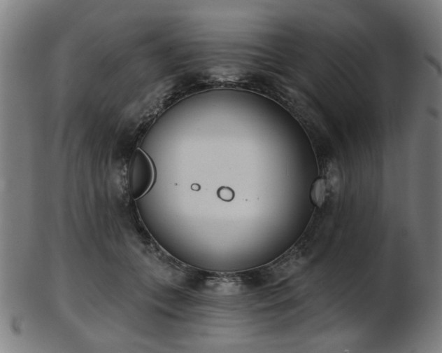 X0000103460559200809121606