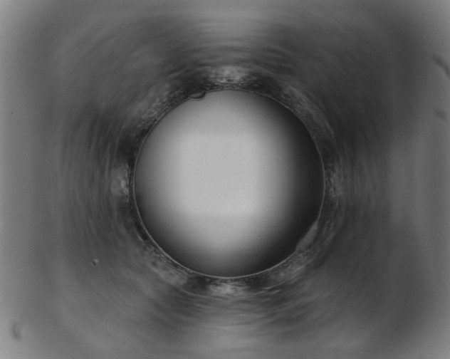 X0000103460561200809121606
