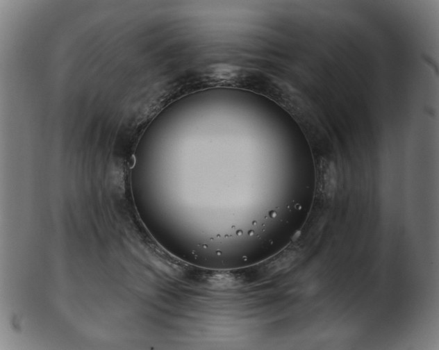 X0000103460562200809121606