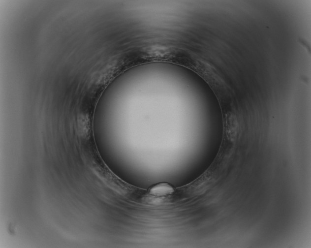 X0000103460563200809121606