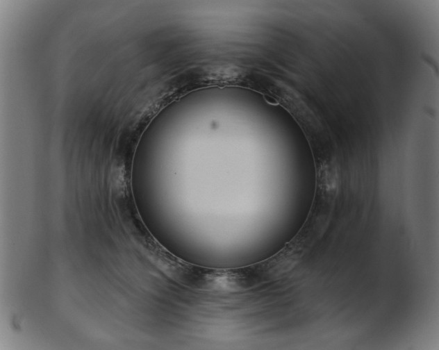X0000103460564200809121606
