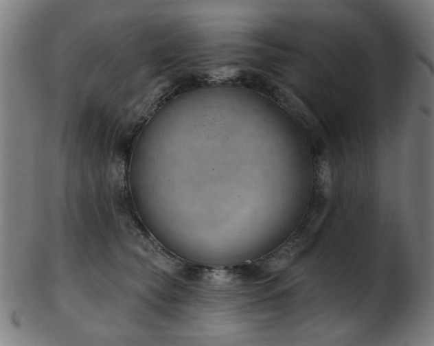 X0000103460565200809121606
