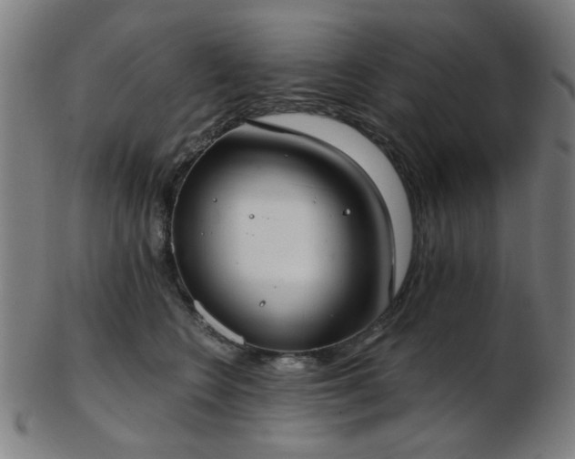 X0000103460566200809121606