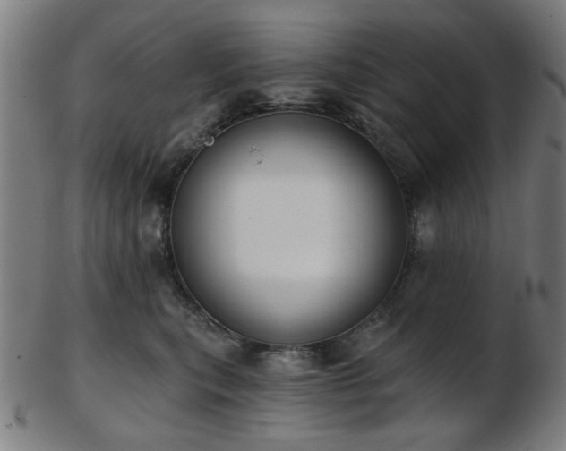 X0000103460567200809121606