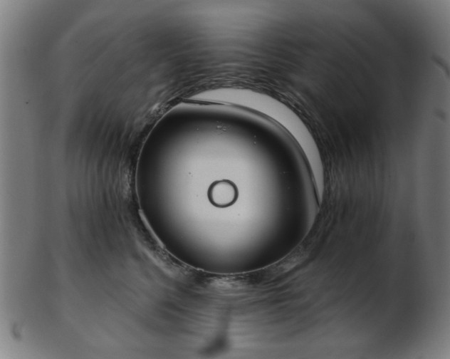 X0000103460568200809121606