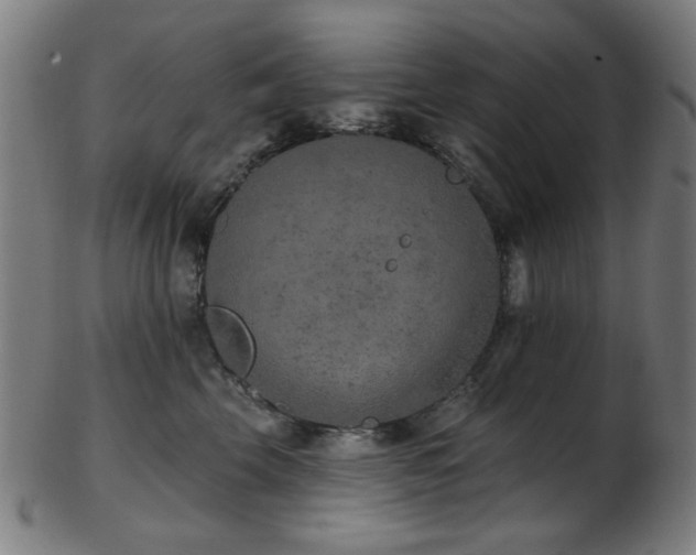 X0000103460569200809121606