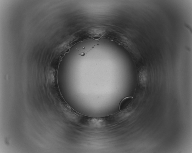 X0000103460570200809121606