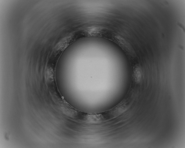 X0000103460571200809121606