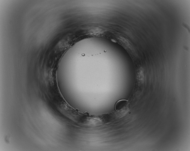 X0000103460572200809121606