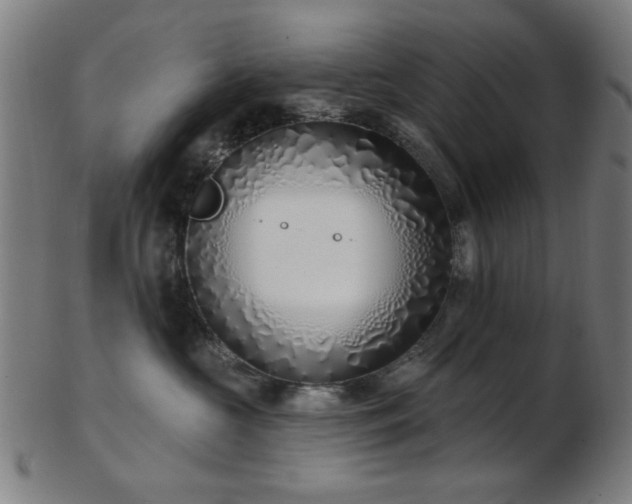X0000103460573200809121606