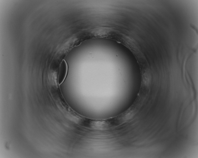 X0000103460575200809121606