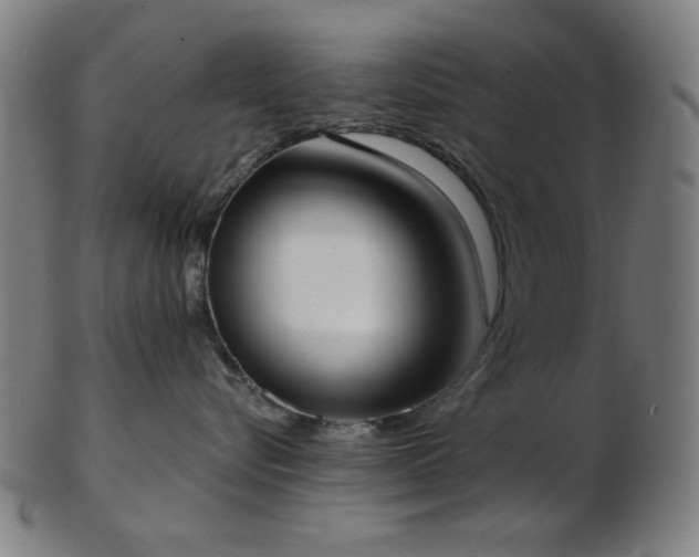 X0000103460576200809121606