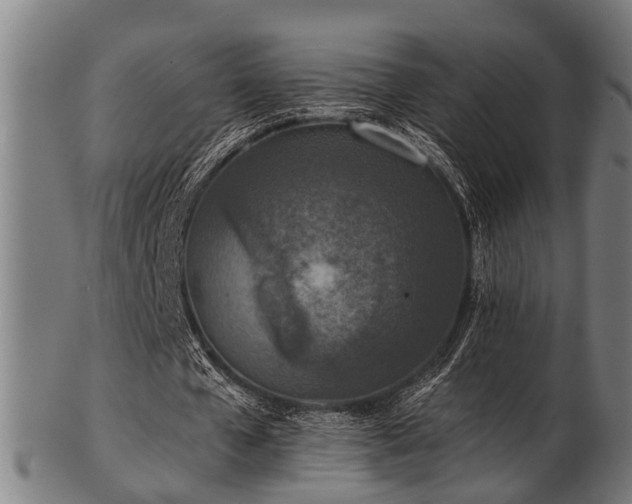 X0000103460577200809121605