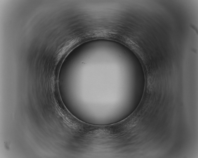 X0000103460578200809121605