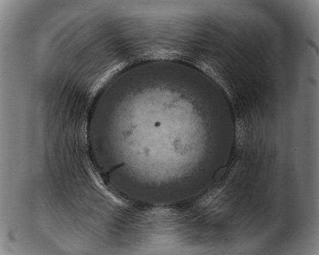 X0000103460581200809121605