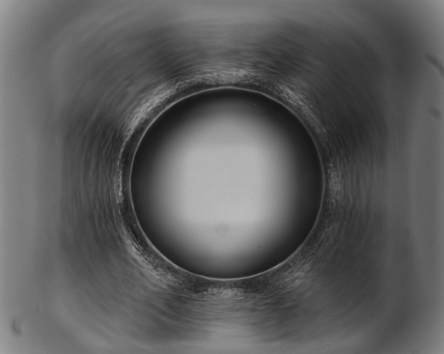 X0000103460582200809121605