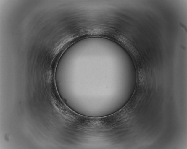 X0000103460583200809121605