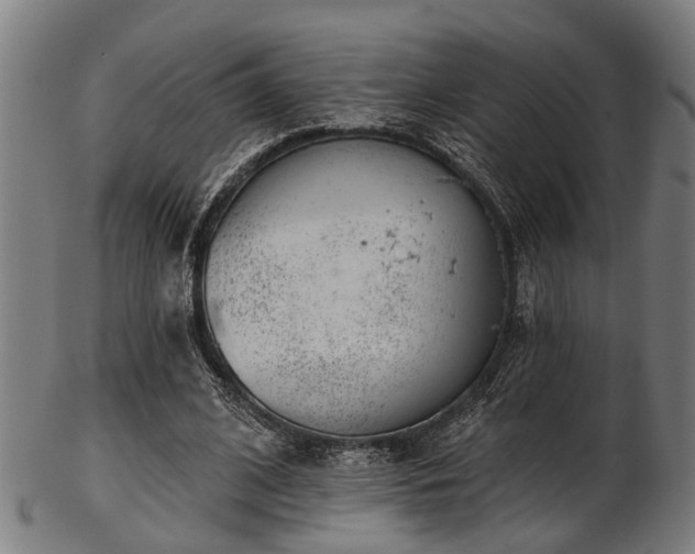 X0000103460584200809121605