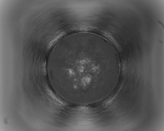 X0000103460585200809121605