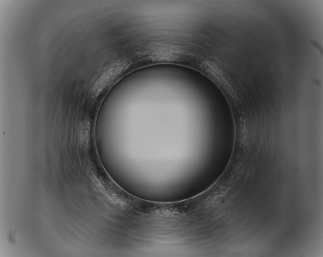 X0000103460586200809121605