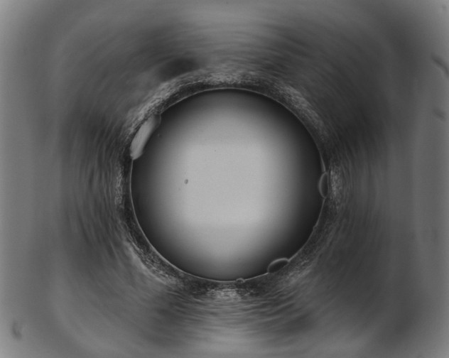X0000103460588200809121605