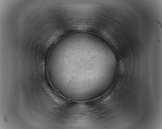 X0000103460589200809121605