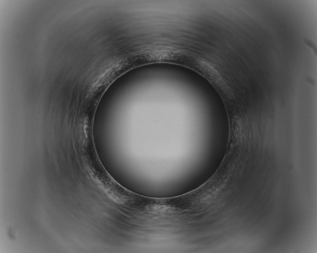X0000103460590200809121605