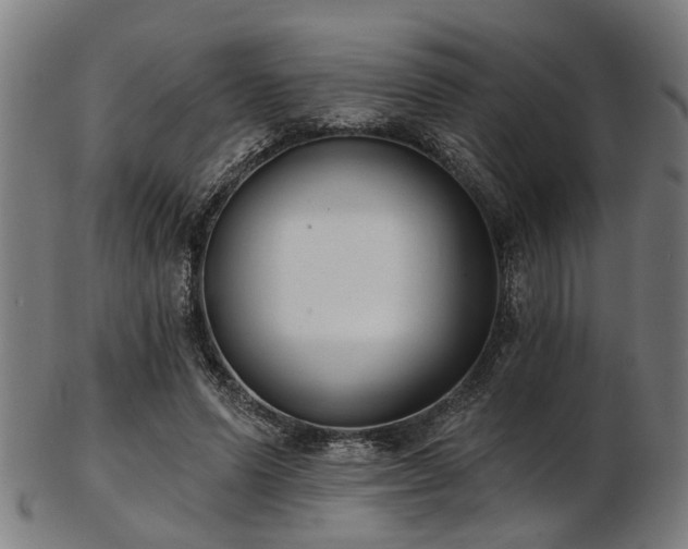 X0000103460591200809121605