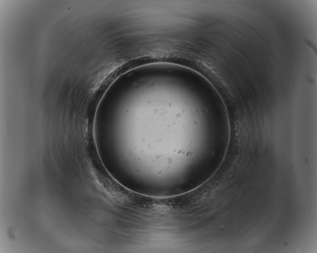 X0000103460592200809121605