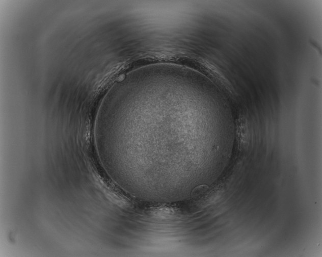 X0000103460593200809121605