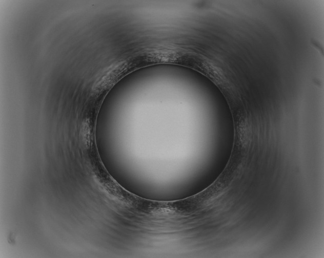 X0000103460594200809121605