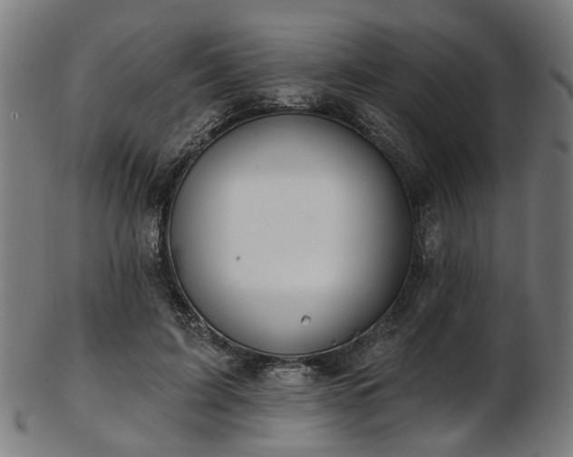 X0000103460595200809121605