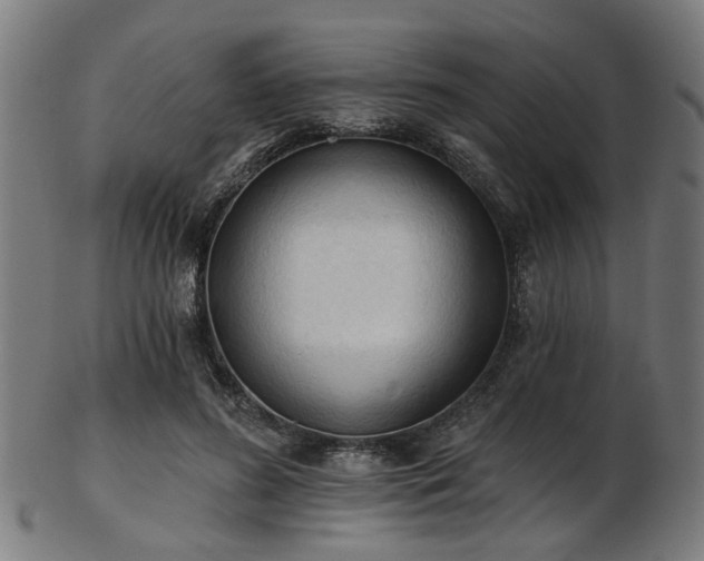 X0000103460596200809121605