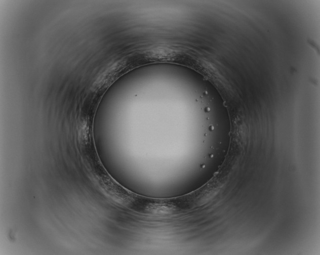 X0000103460597200809121605
