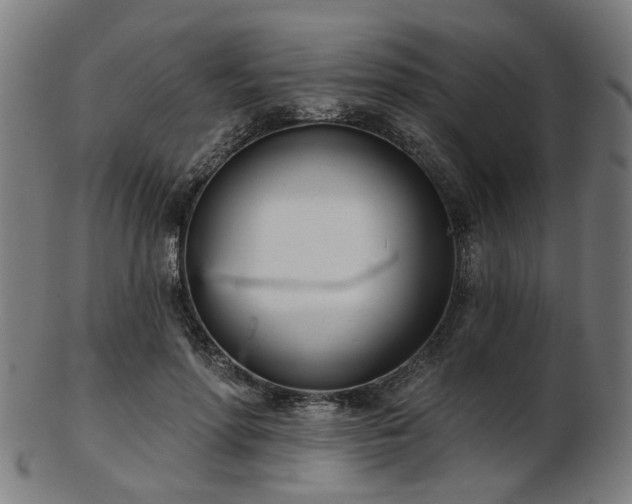 X0000103460598200809121605