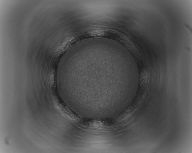 X0000103460600200809121605
