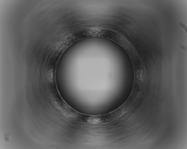 X0000103460602200809121605