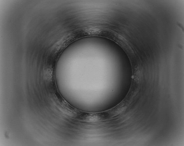 X0000103460604200809121605
