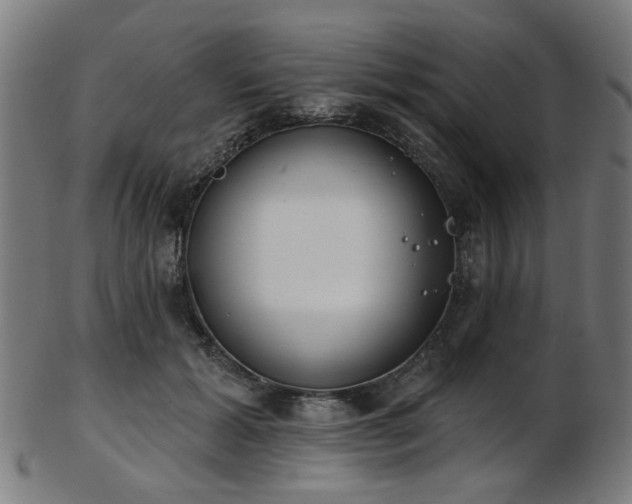 X0000103460605200809121605